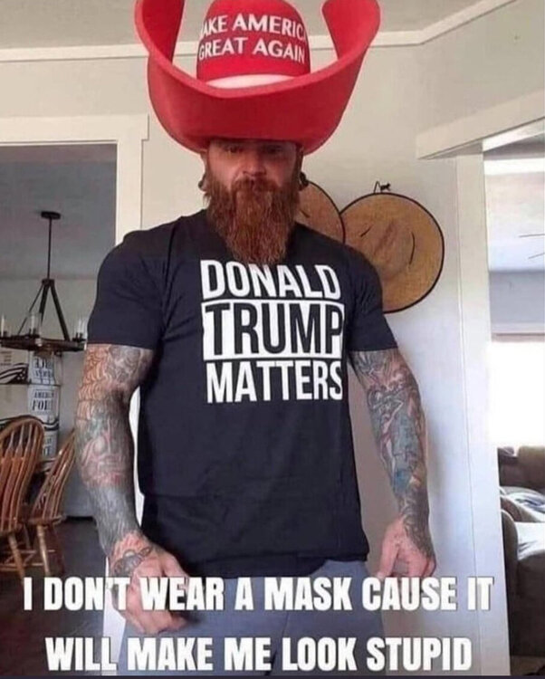 I don't wear a mask because it makes me look stupid.jpg