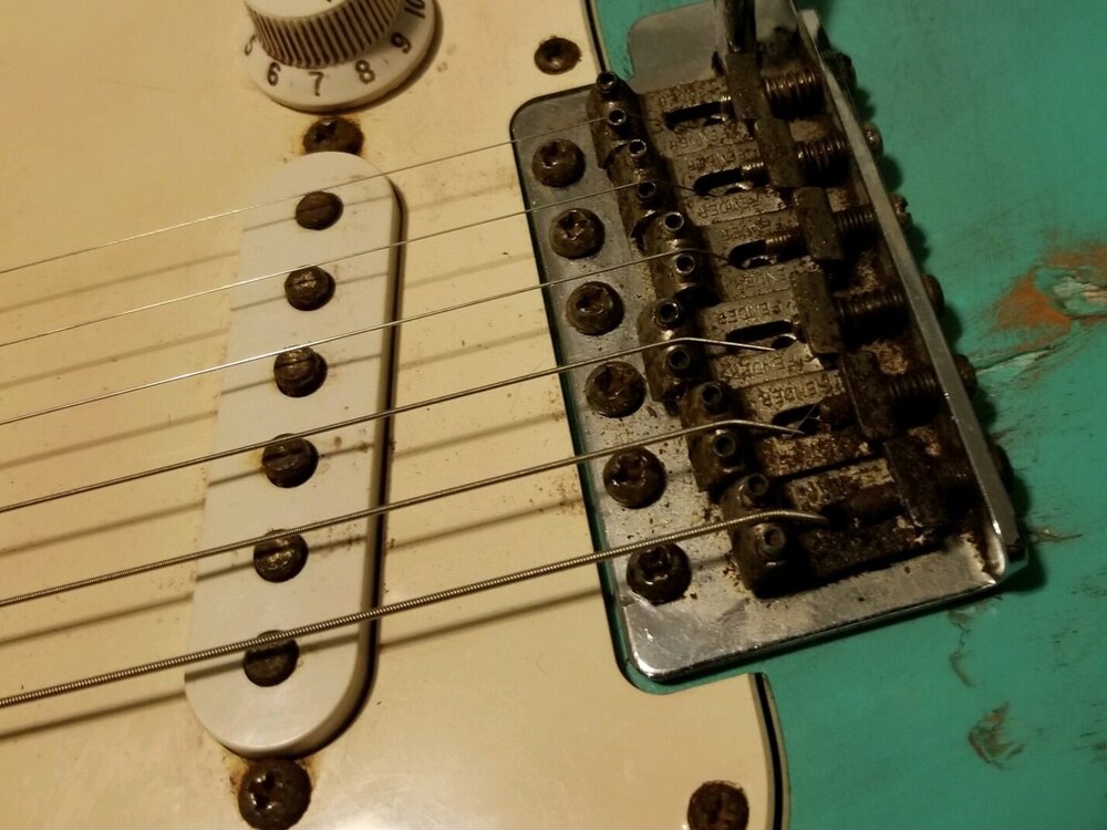 Screenshot_20220217-110819_Amazon Photos.jpg