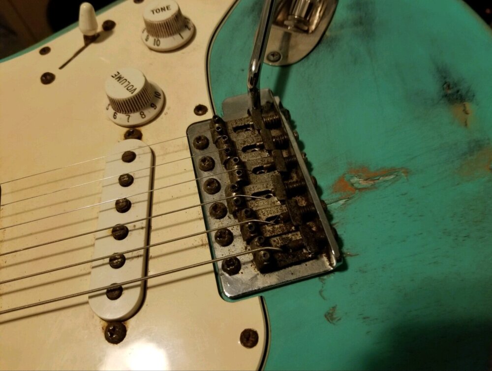 Screenshot_20220217-110816_Amazon Photos.jpg