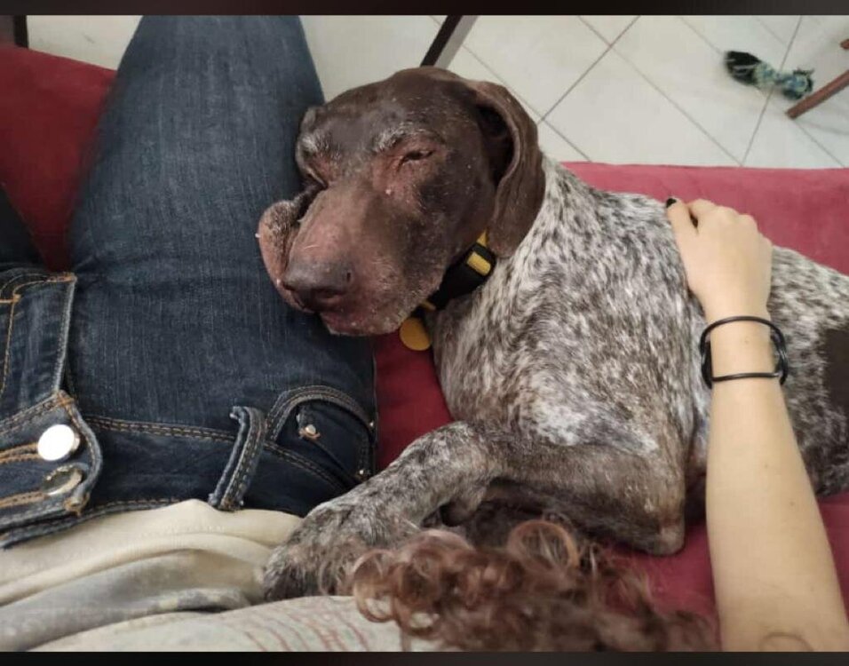 sprinkles and denise.jpg