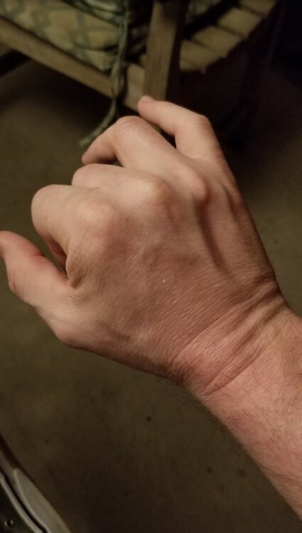 Screenshot_20220218-174855_Amazon Photos.jpg