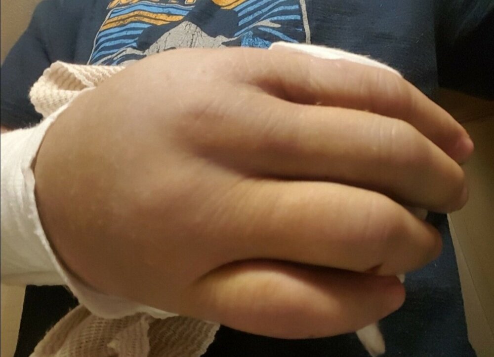 Screenshot_20220218-173338_Amazon Photos.jpg