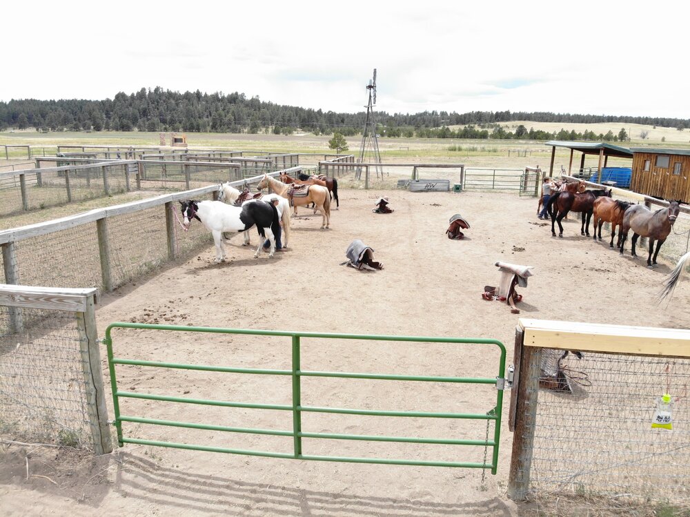 2022 Camp Cris Dobbins (58).JPG