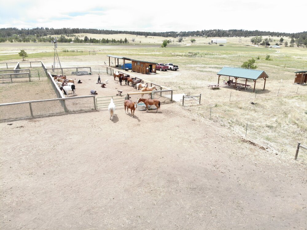 2022 Camp Cris Dobbins (47).JPG