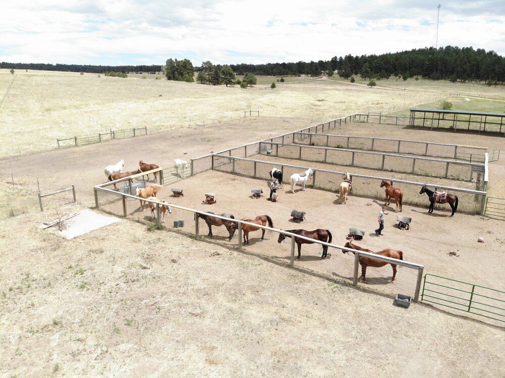 2022 Camp Cris Dobbins (35).JPG