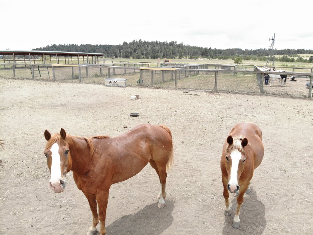 2022 Camp Cris Dobbins (54).JPG