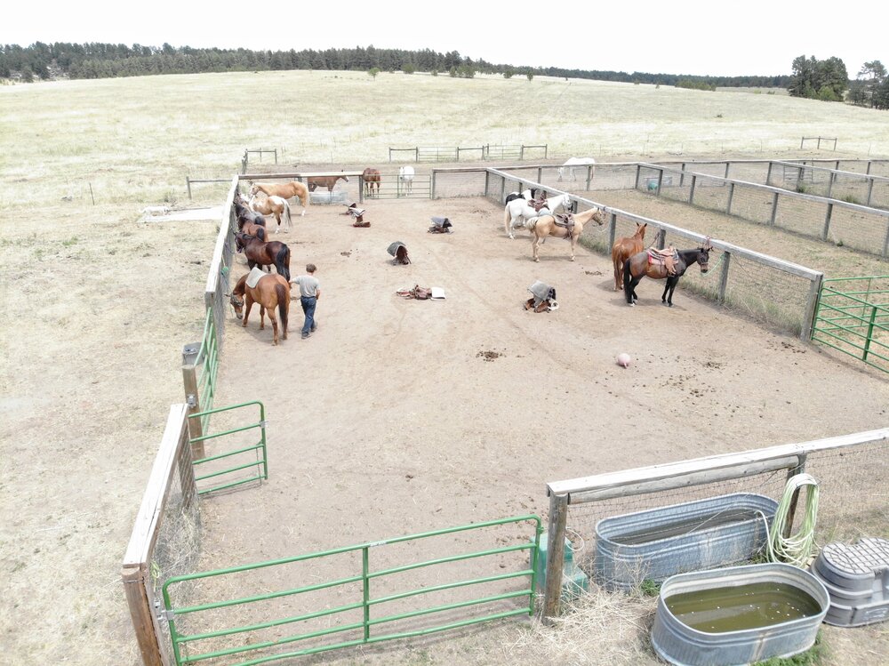 2022 Camp Cris Dobbins (46).JPG
