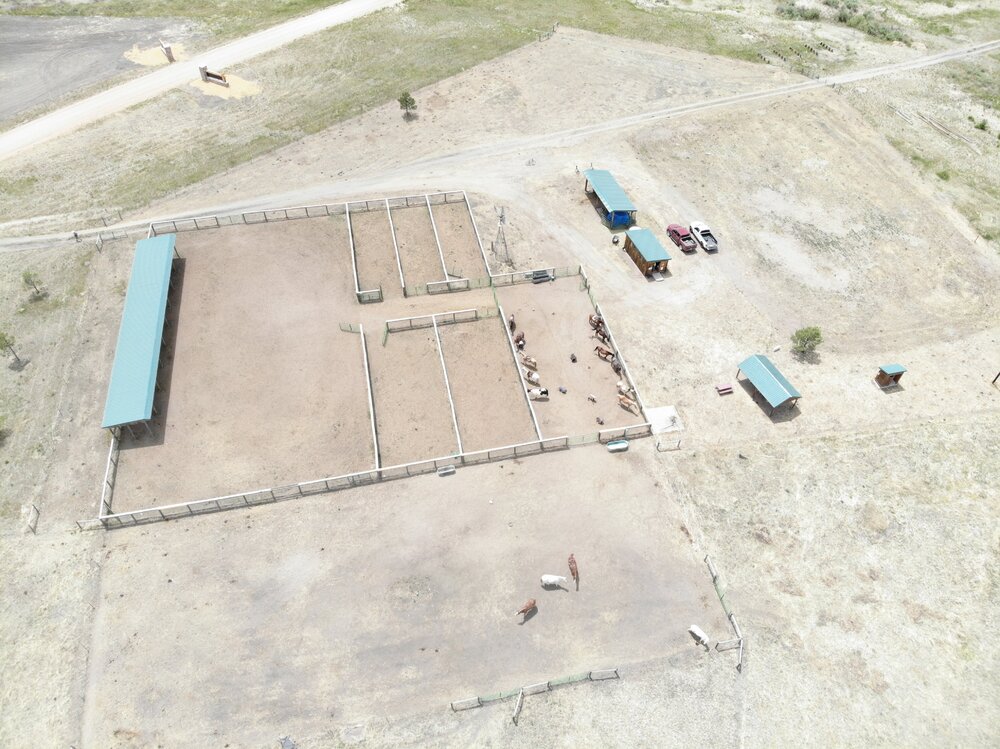 2022 Camp Cris Dobbins (70).JPG