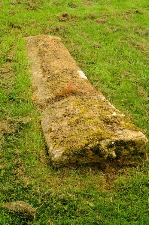 27080441_Ancient(somethinkKnightCrusader)gravemarker-StEadburghaschurch(Ebrington)2.thumb.jpg.c0d962429f93ca8cb144f149eb534e45.jpg