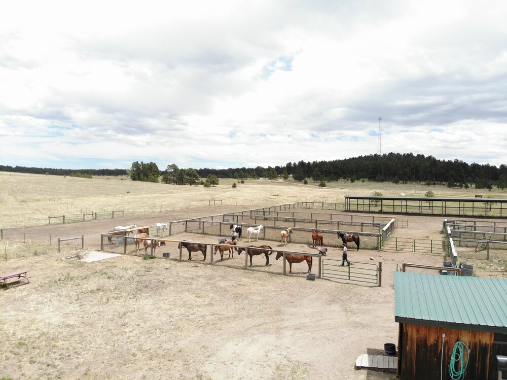 2022 Camp Cris Dobbins (34).JPG