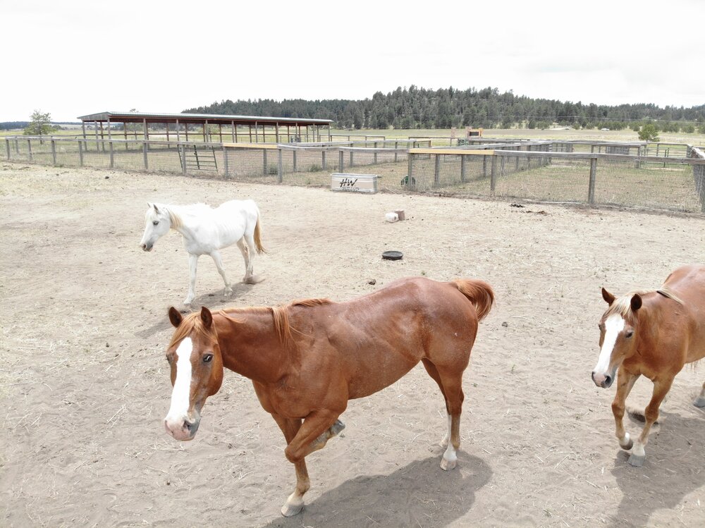 2022 Camp Cris Dobbins (53).JPG