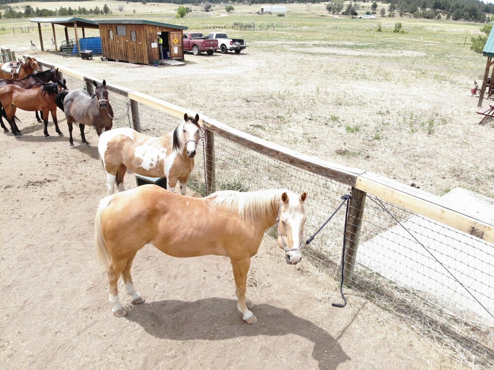 2022 Camp Cris Dobbins (66).JPG