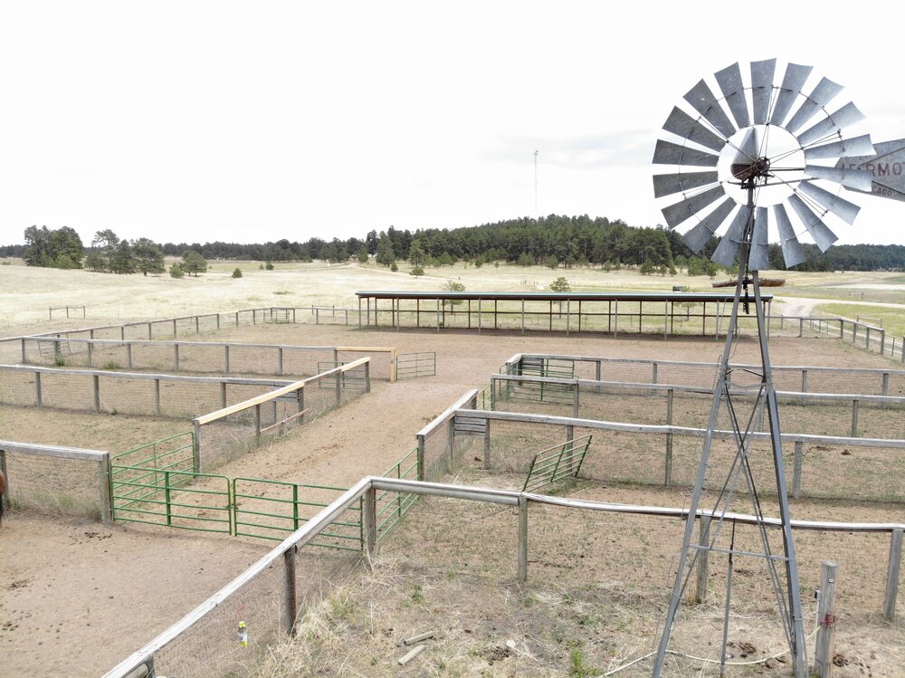 2022 Camp Cris Dobbins (43).JPG