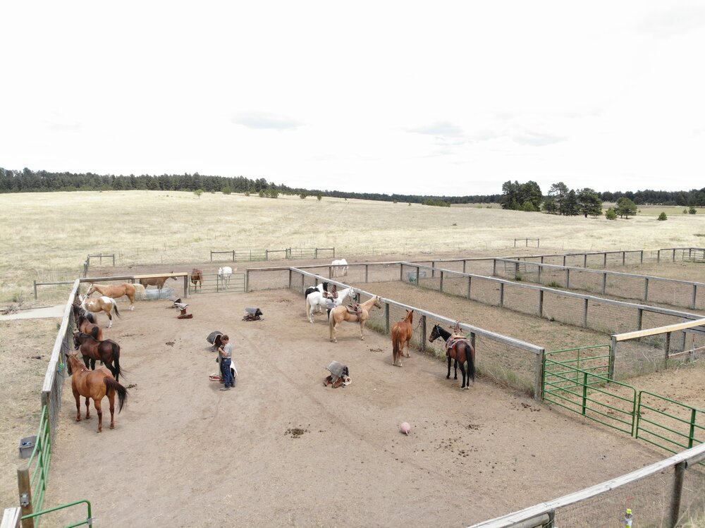 2022 Camp Cris Dobbins (44).JPG