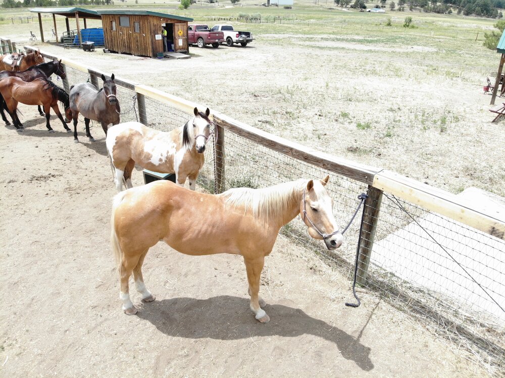 2022 Camp Cris Dobbins (67).JPG