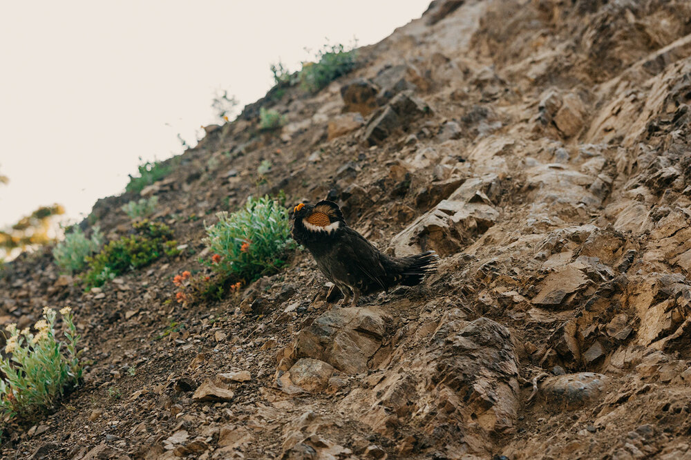 America + John Mark _ Adventure + Vow -94_websize.jpg