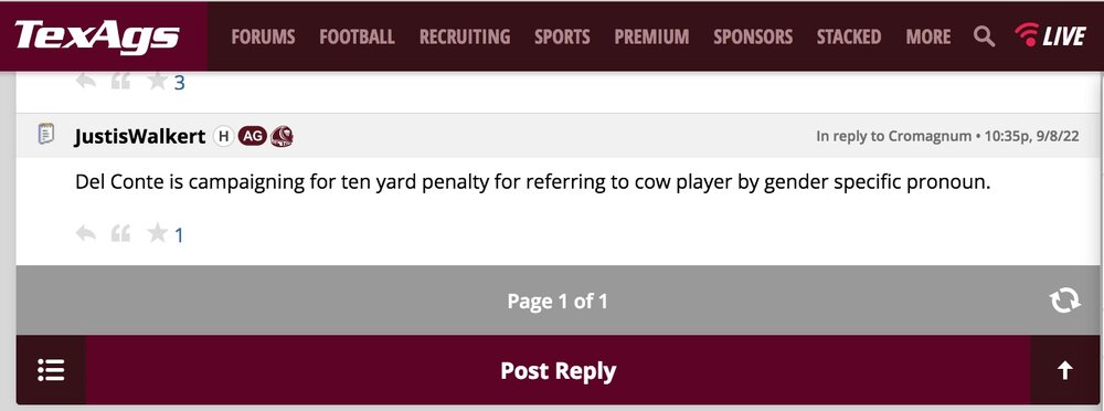 texags del conte 10 yd penalty.jpeg