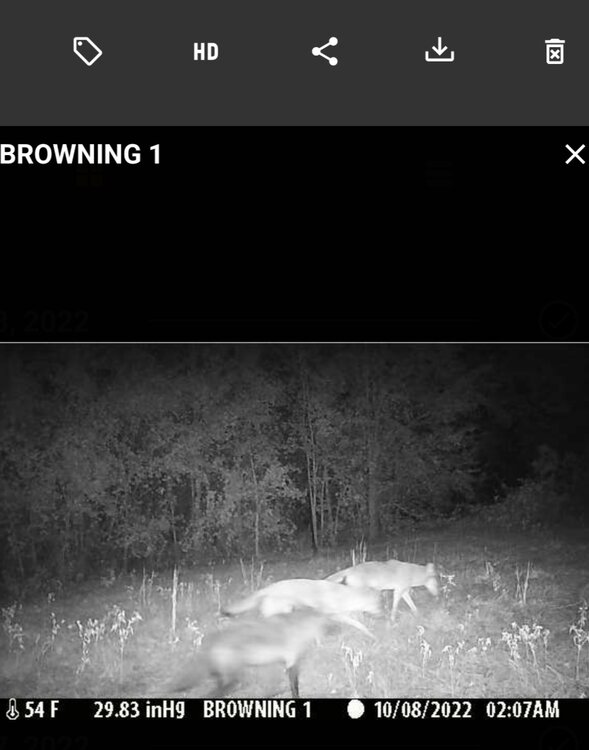 Screenshot_20221008-021248_Strike Force Wireless.jpg