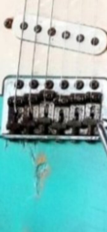 Screenshot_20221018-203535_Amazon Photos.jpg