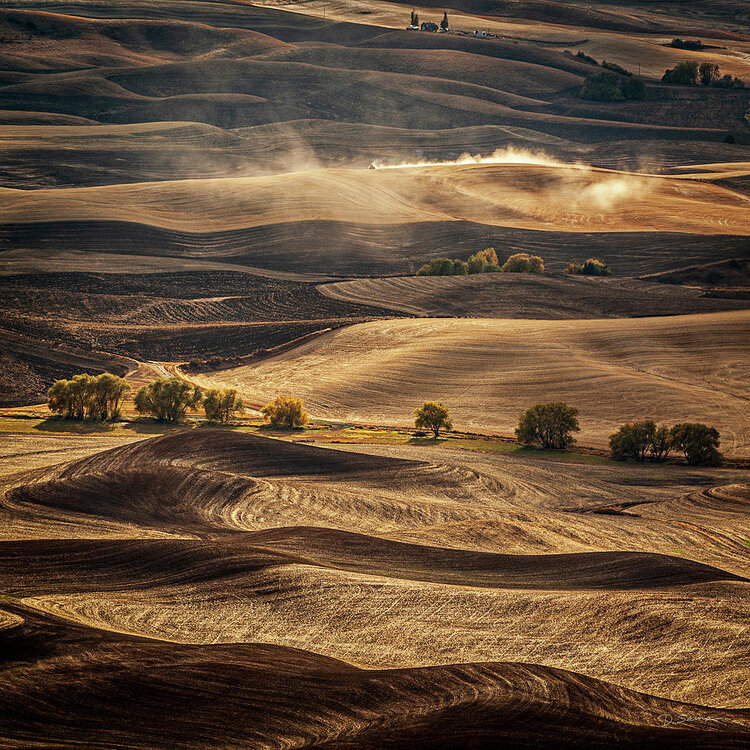 autumn-on-the-palouse-david-sams.thumb.jpg.c7dbfd53cee31cb73ade727834569ef3.jpg