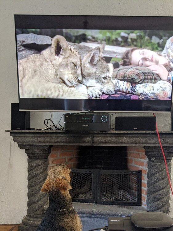 WhatsApp Image 2023-02-07 at 2.01.04 PM.jpeg