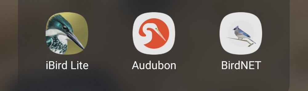 Screenshot_20230319_123649_One UI Home.jpg