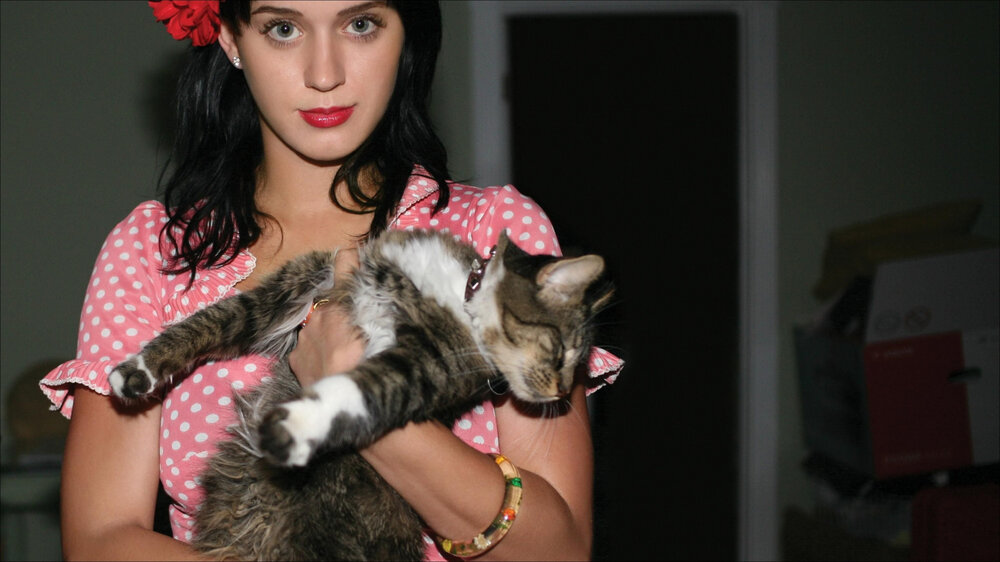 cats-katy-perry-other1.thumb.jpg.949b14c2353a42d5f56abbf9767b7736.jpg