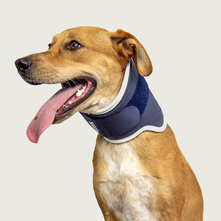 Balto_USA-orthopedic-neck-brace-Eleven-4520_cropped_1200x1200.jpg