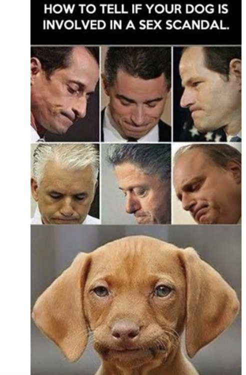 Screen Shot 2023-04-09 at 2.43.33 AM.png