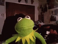 frog-kermit.gif.21cbec4d37b582e8a69242f8df8069c7.gif