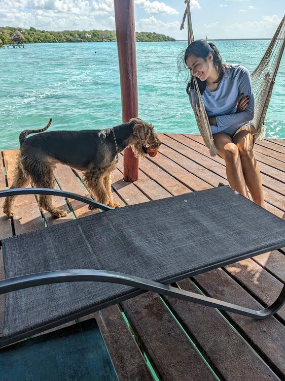 ollie amelie dock.jpg