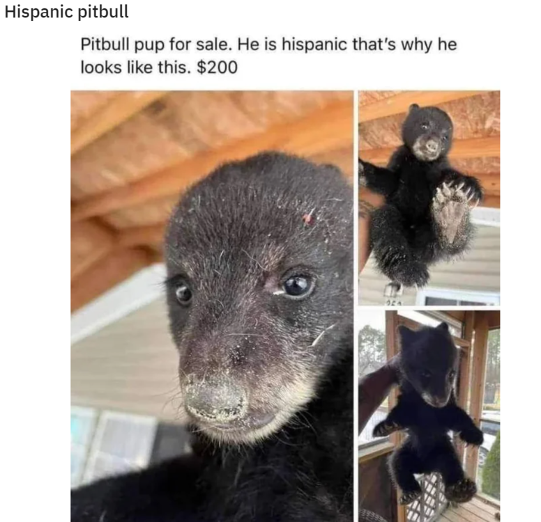 Screenshot 2023-07-11 111108.png