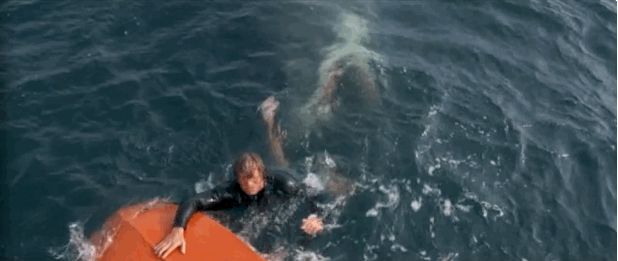 jaws-gif-3.gif.f21e6d60e3375f06039b29c1a949709f.gif
