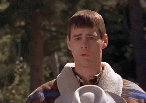dumb-and-dumber-jim-carrey.gif.ca0f3bbc228bc7cc37d3532d0db23fb4.gif