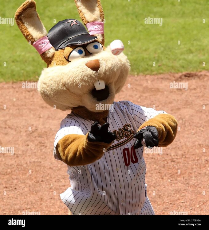 houston-astros-mascot-junction-jack-tosses-baseballs-to-fans-before-a-game-between-the-astros-and-th-ston-texas-photo-by-george-bridgesmctsipa-usa-2F0BX3A.thumb.jpg.6b9b376c0b025c858ae887e6d06407e0.jpg