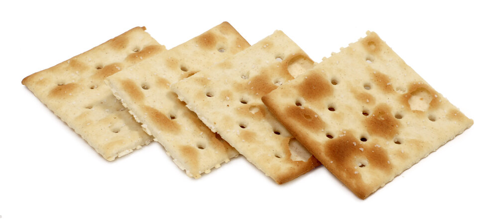 saltine.thumb.JPG.fe9d9acaa94e00bbdb3c79aae7b07c33.JPG