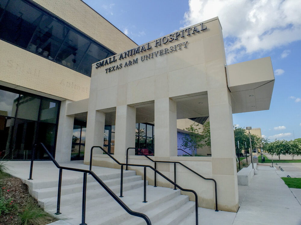 Small_Animal_Hospital_-_Texas_A&M.jpg