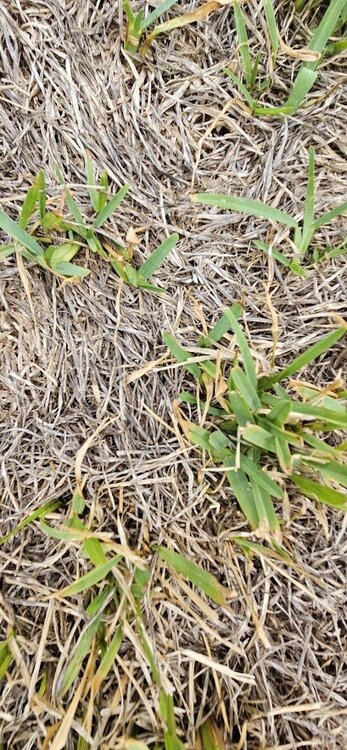 root 20230912_185220.jpg