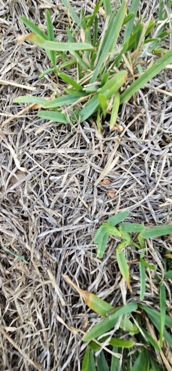 root 20230912_185319.jpg