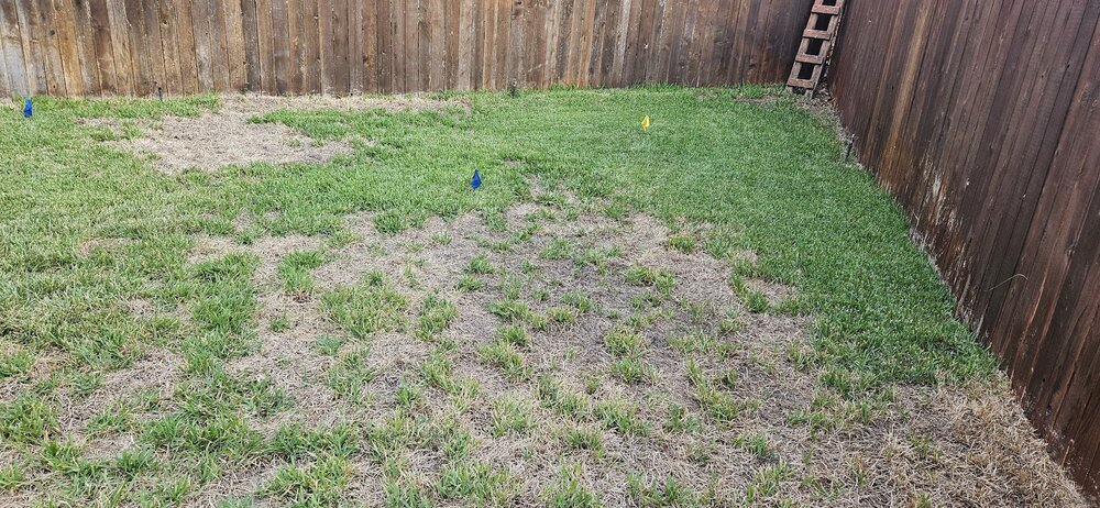 root 20230912_185640.jpg