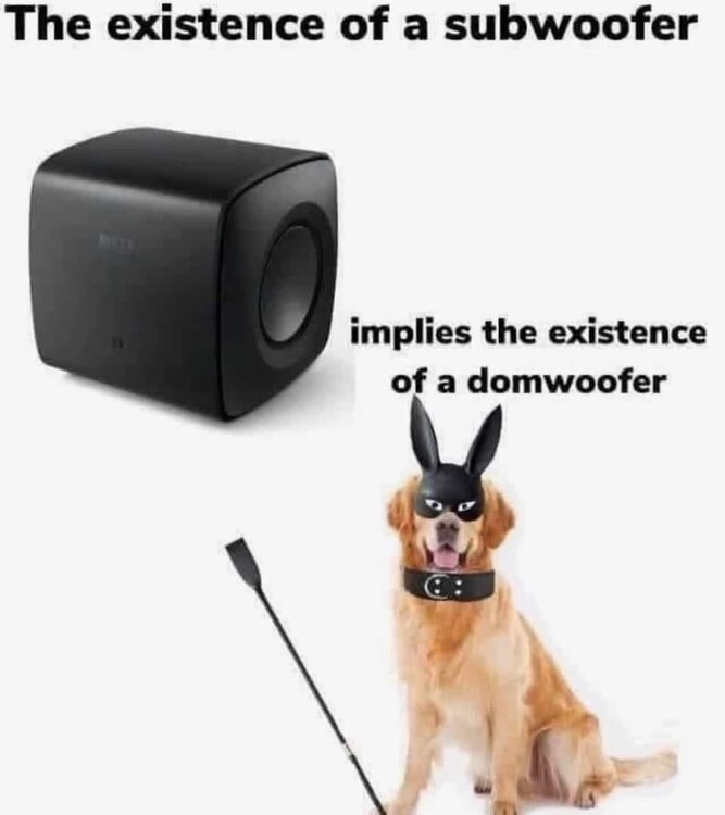 woofer.jpg