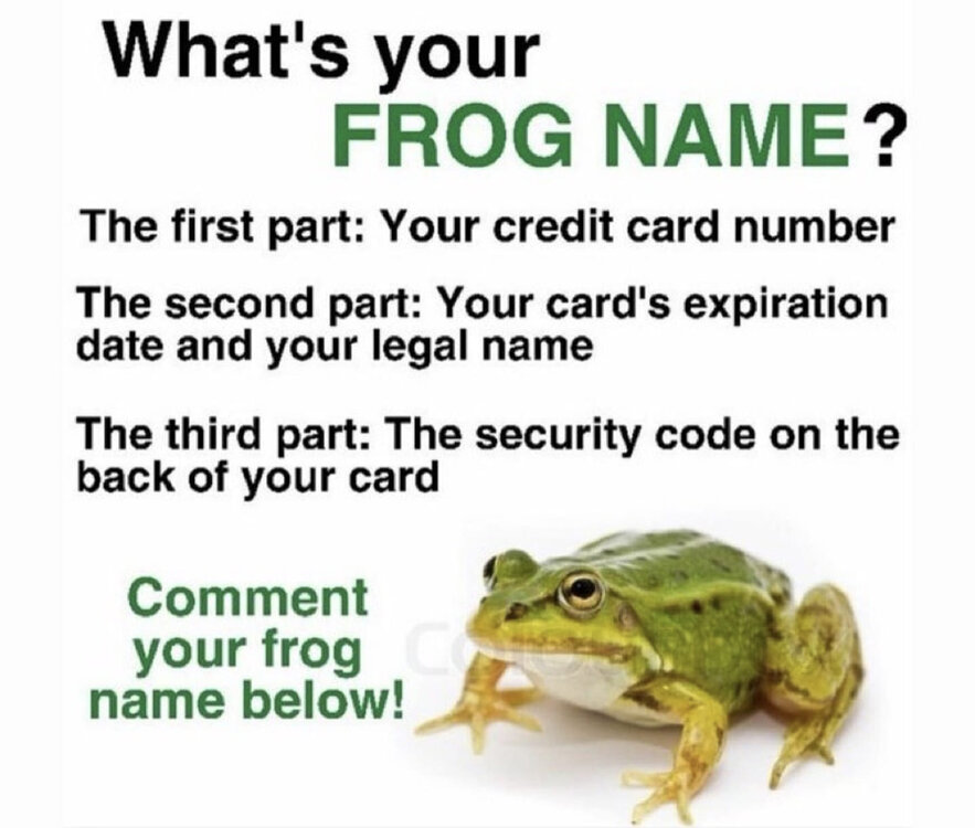 frogname.jpg