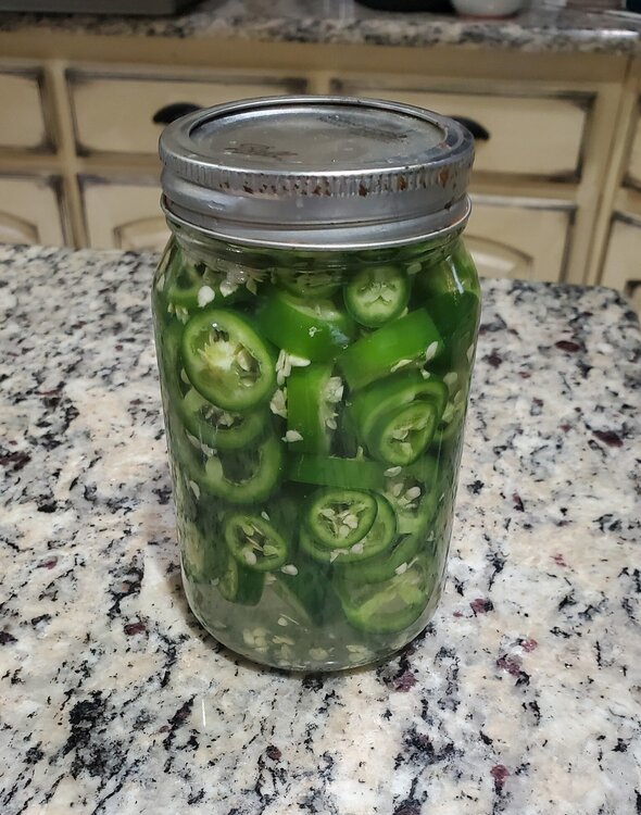 7799002001493587159 (1).jpg