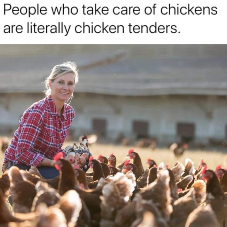 chickentenders.jpg