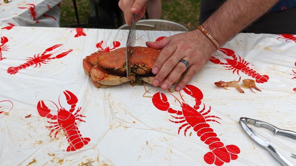 24-03-31 11-30-32 5124.jpg