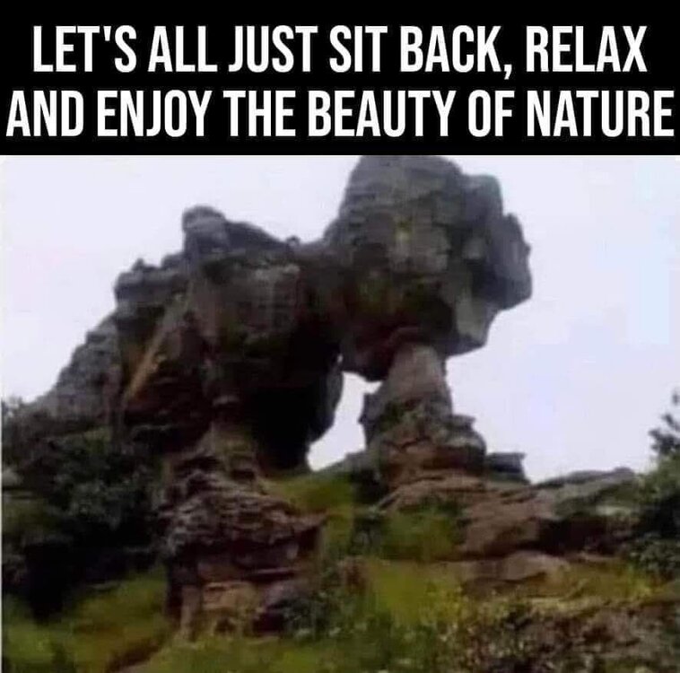 naturebeauty.jpg