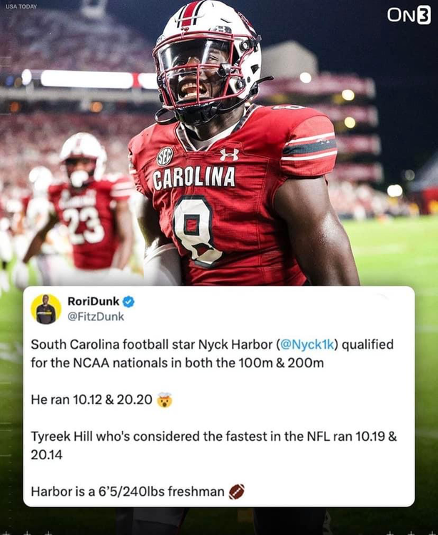 sec-catch-all-thread-page-8-football-surly-horns