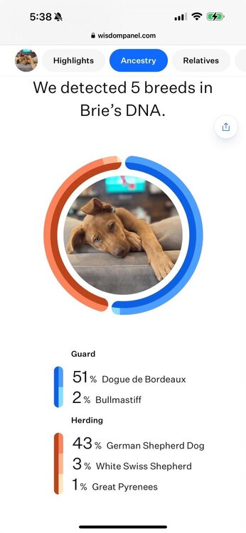 Screenshot 2024-06-24 at 5.38.00 AM.jpeg