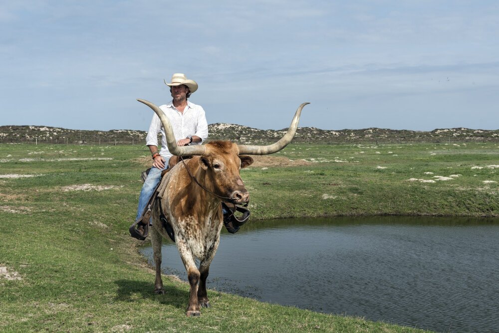 Riding a Texas Longhorn on Padre Island carol highsmith.jpg