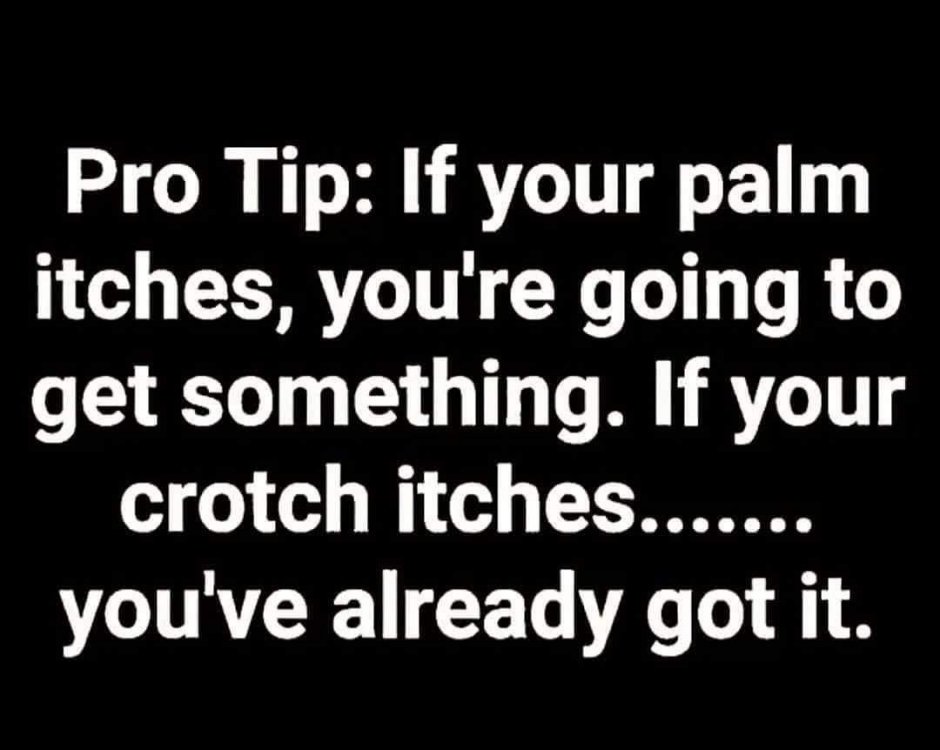 itchypalm.jpg